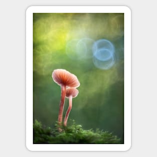 Mushrooms in soft focus Sticker